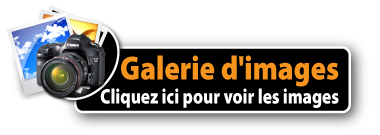 galerie d'images